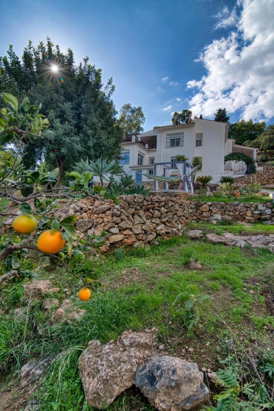 Villa Morera Bed&Breakfast Frigiliana Esterno foto